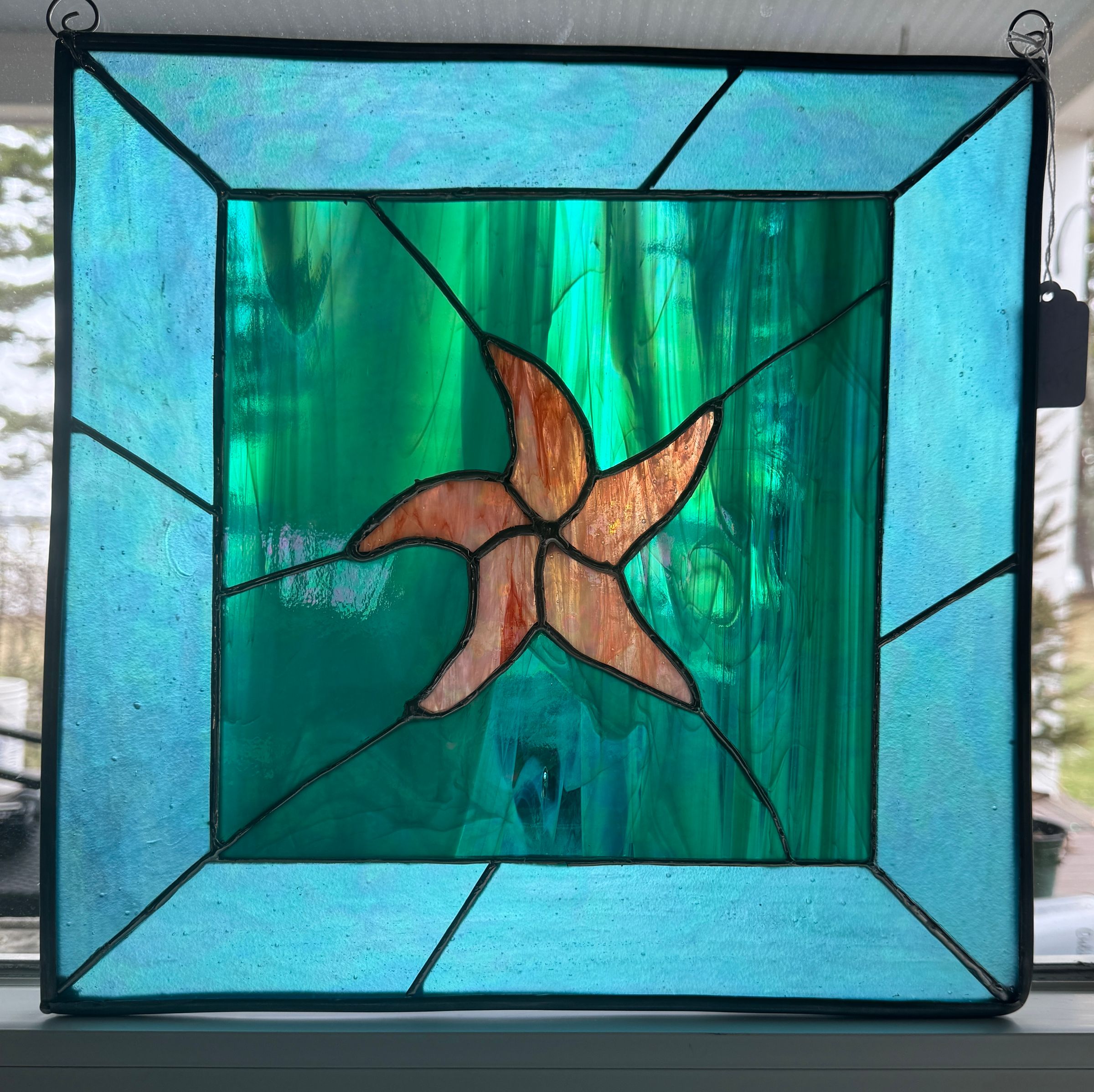 Starfish panel