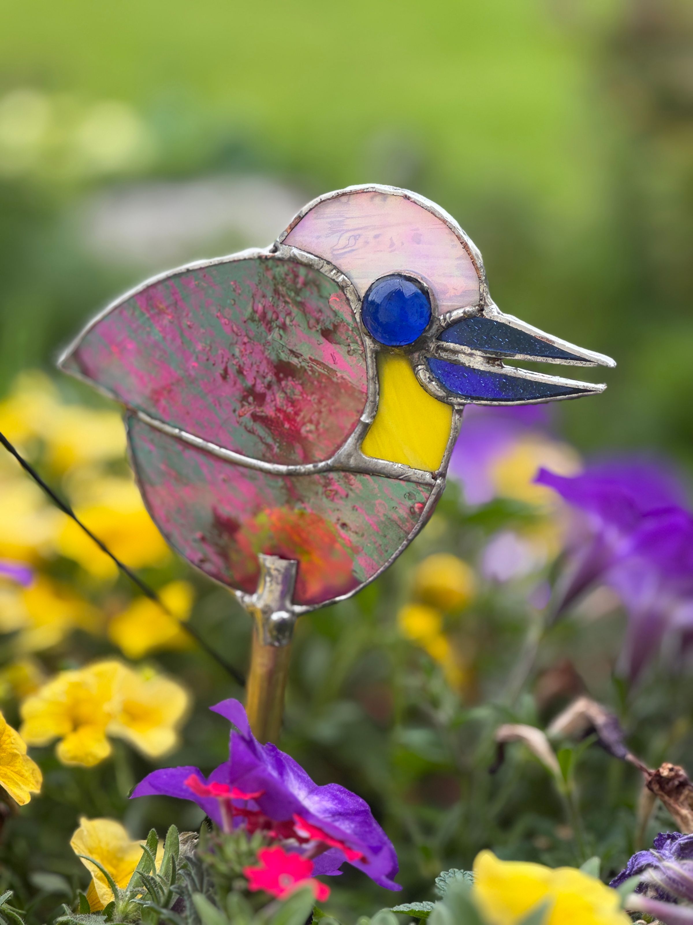 Bird