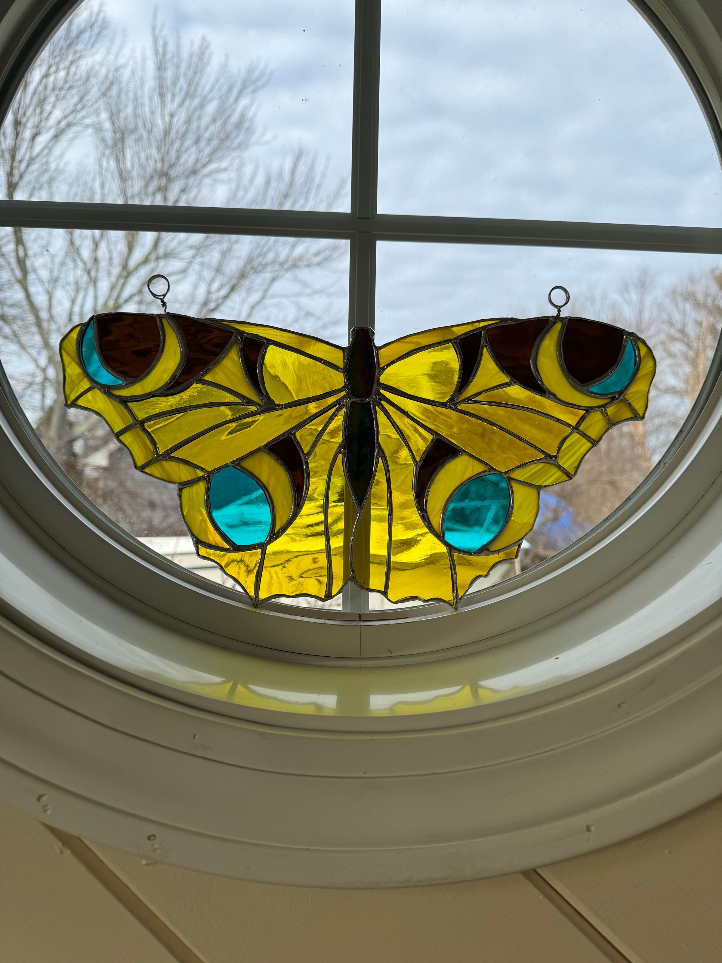 Butterfly 