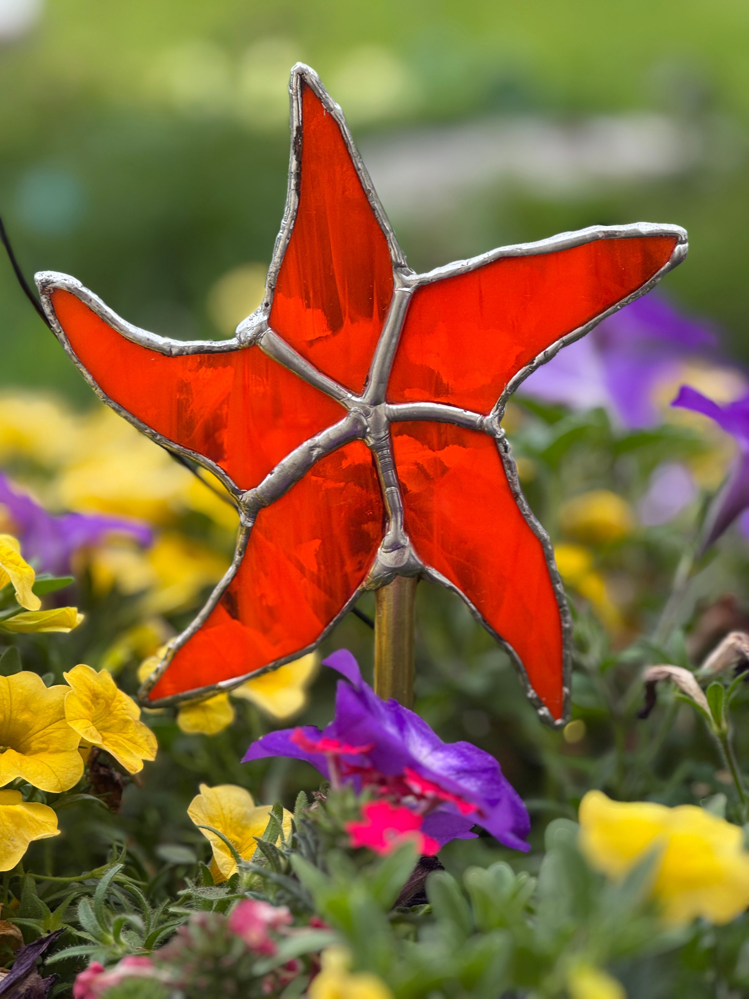 Starfish