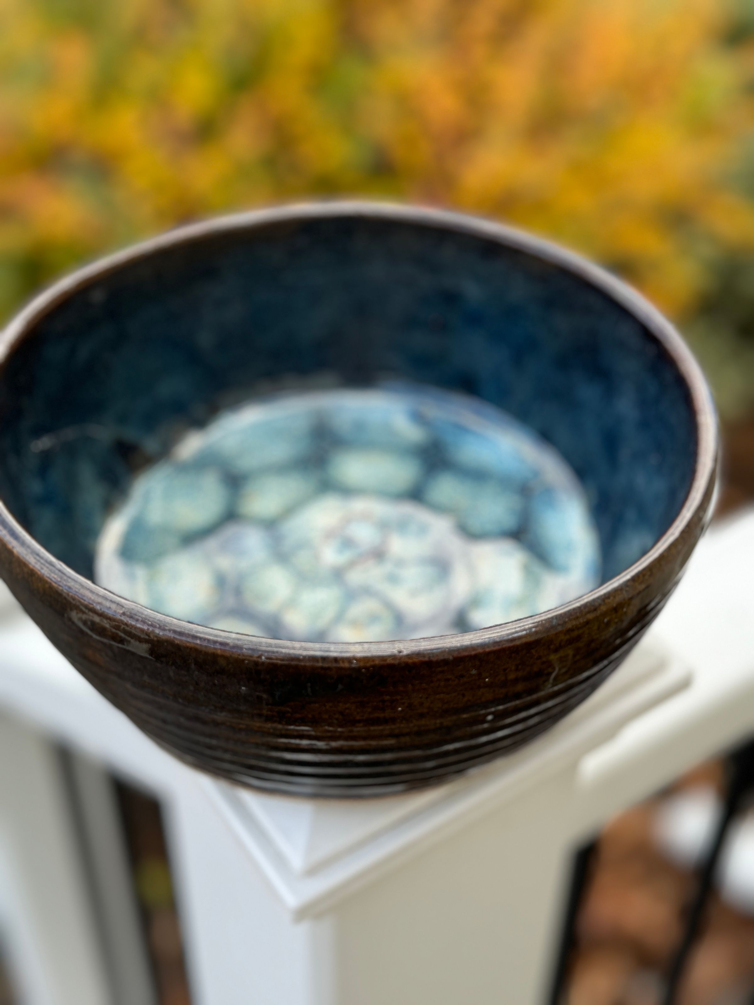 Casserole dish