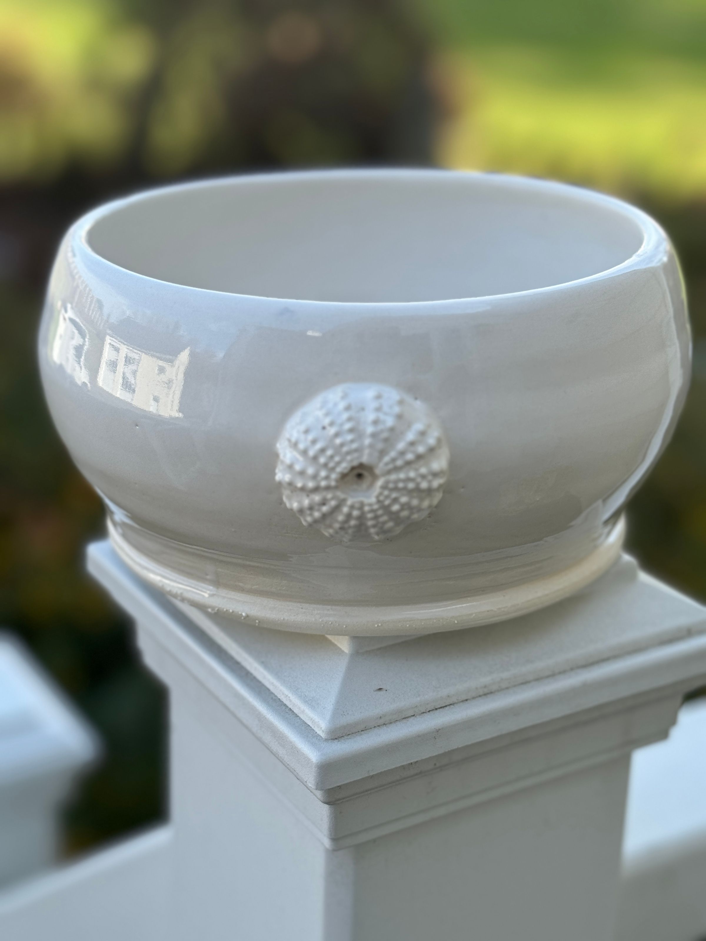 Urchin bowl