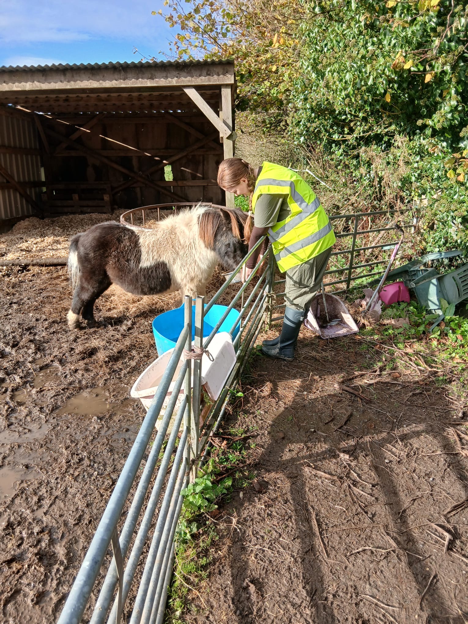 Megan Stewart - Veterinary Rehabilitation's image