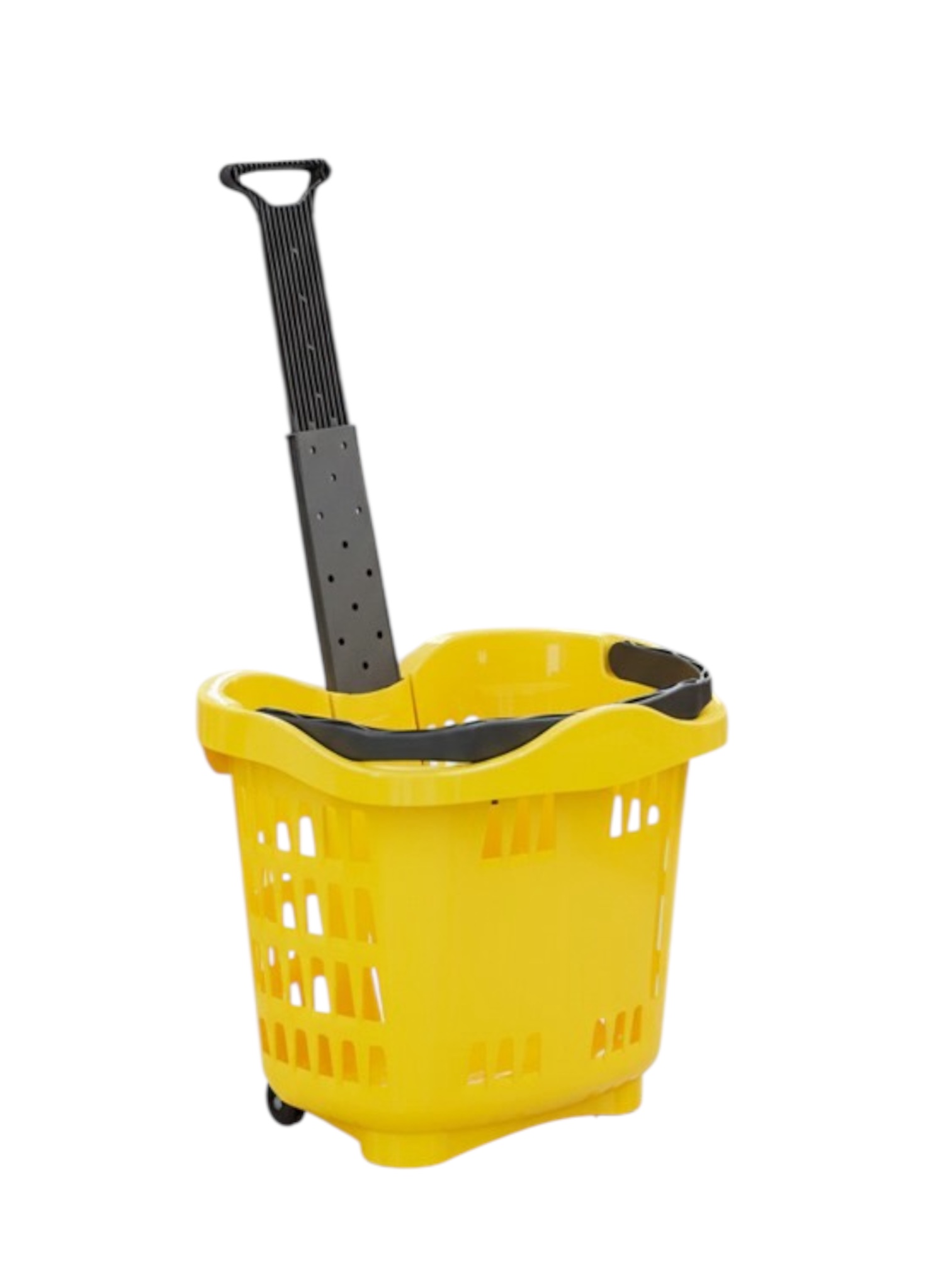 Movenca Group 's image