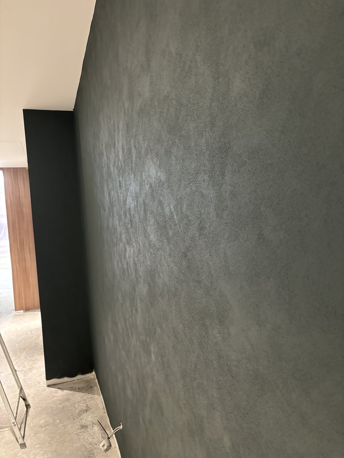Residential Apartment Paint Wall