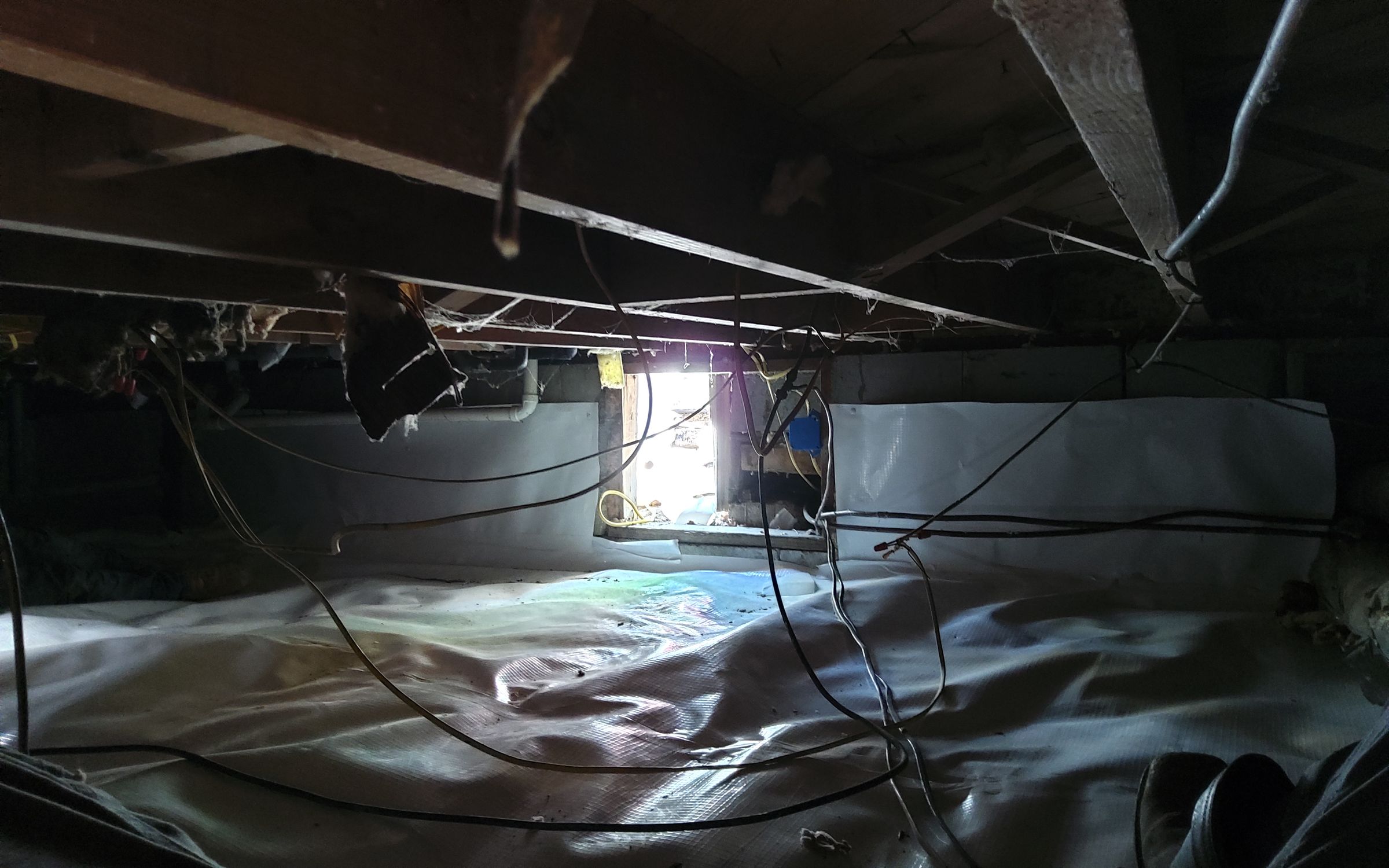 Mann Repairs's image