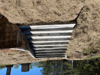 Pattillo Farm and Services, LLC's image