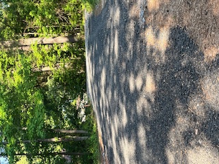 Pattillo Farm and Services, LLC's image