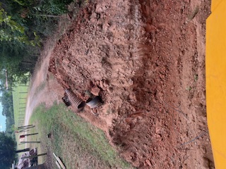 Pattillo Farm and Services, LLC's image