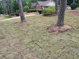 Pattillo Farm and Services, LLC's image