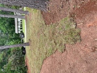 Pattillo Farm and Services, LLC's image