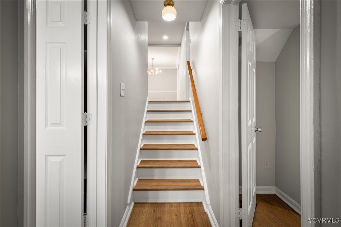 RVA Elite Renovations 's image