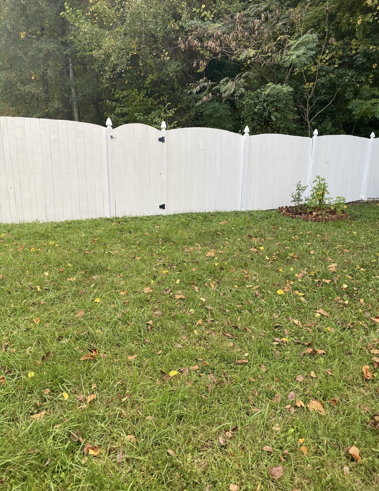 RVA Elite Renovations 's image