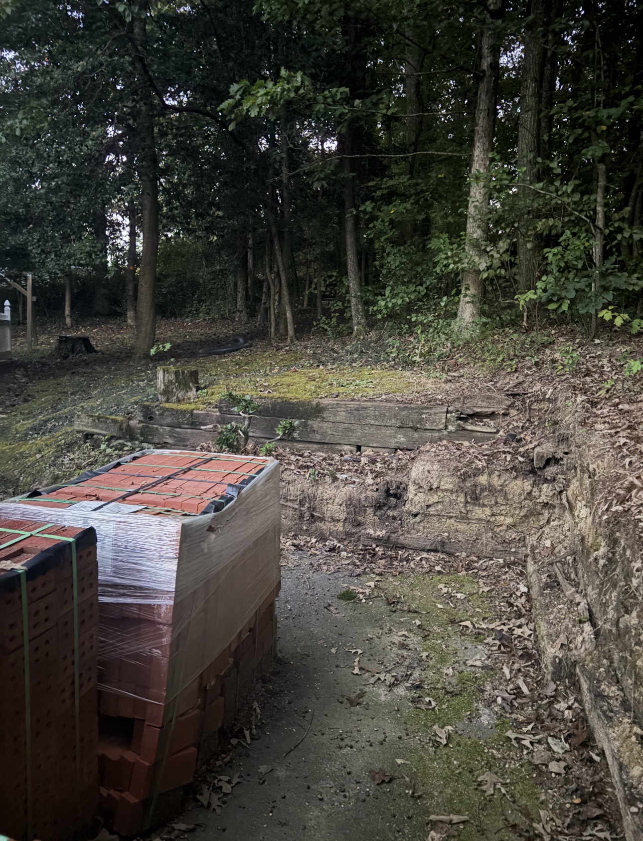 RVA Elite Renovations 's image