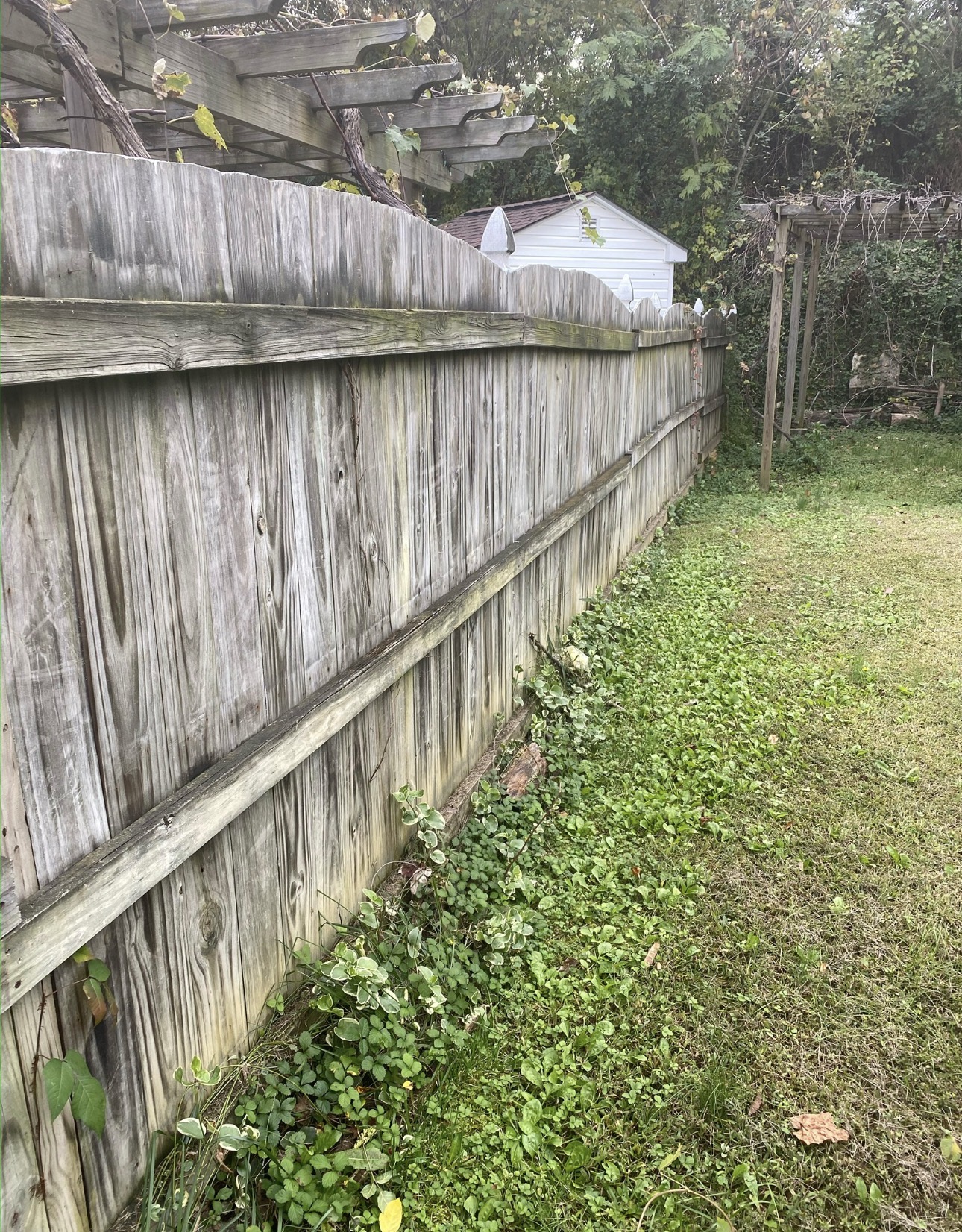 RVA Elite Renovations 's image