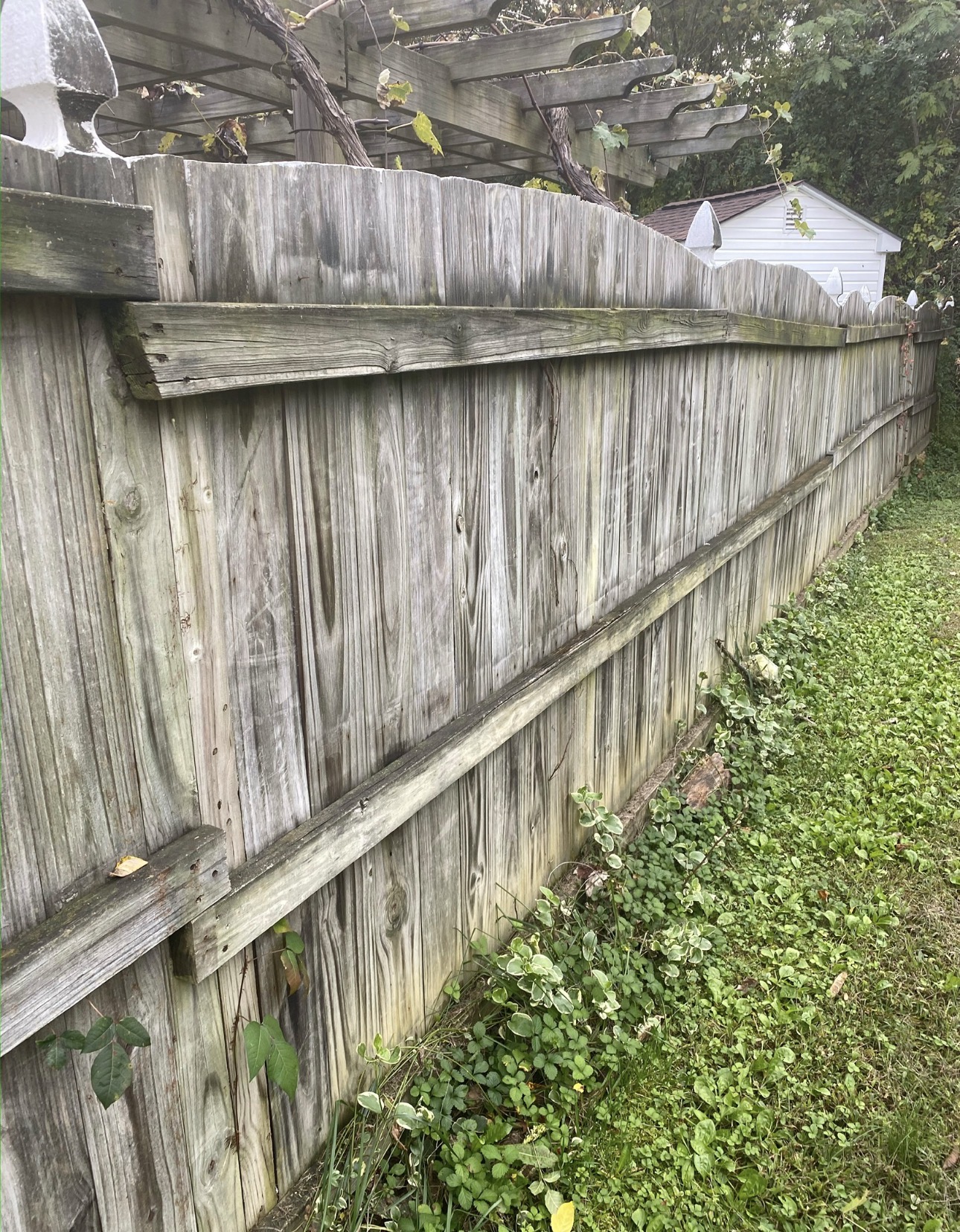 RVA Elite Renovations 's image