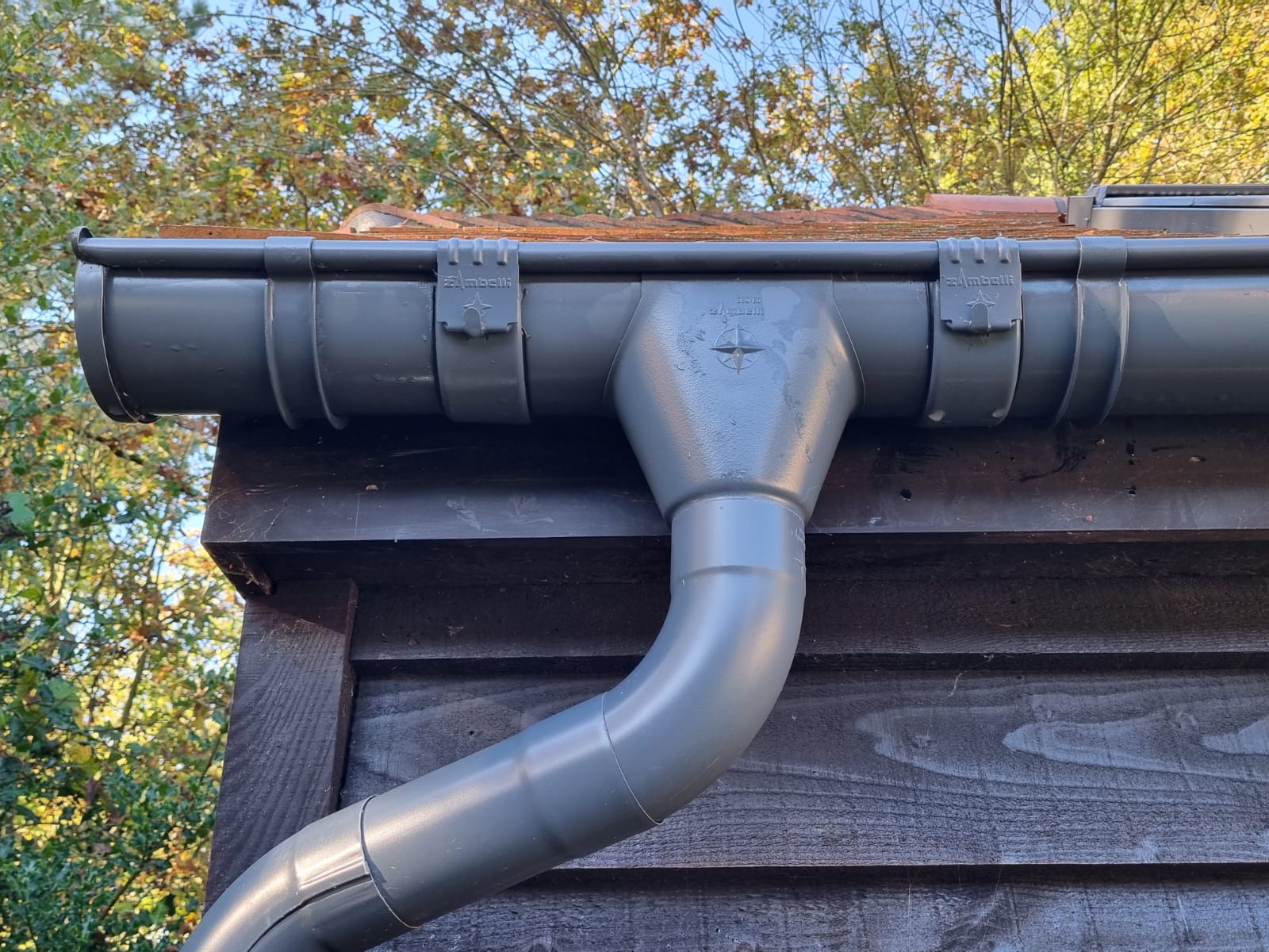 DSW Carpentry & Building's image