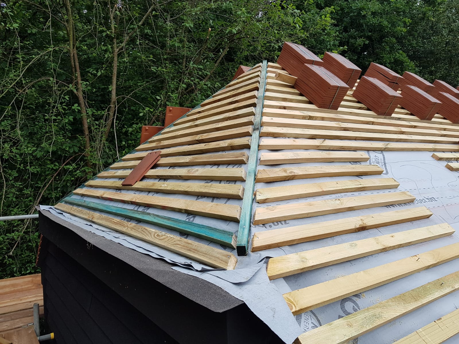 DSW Carpentry & Building's image