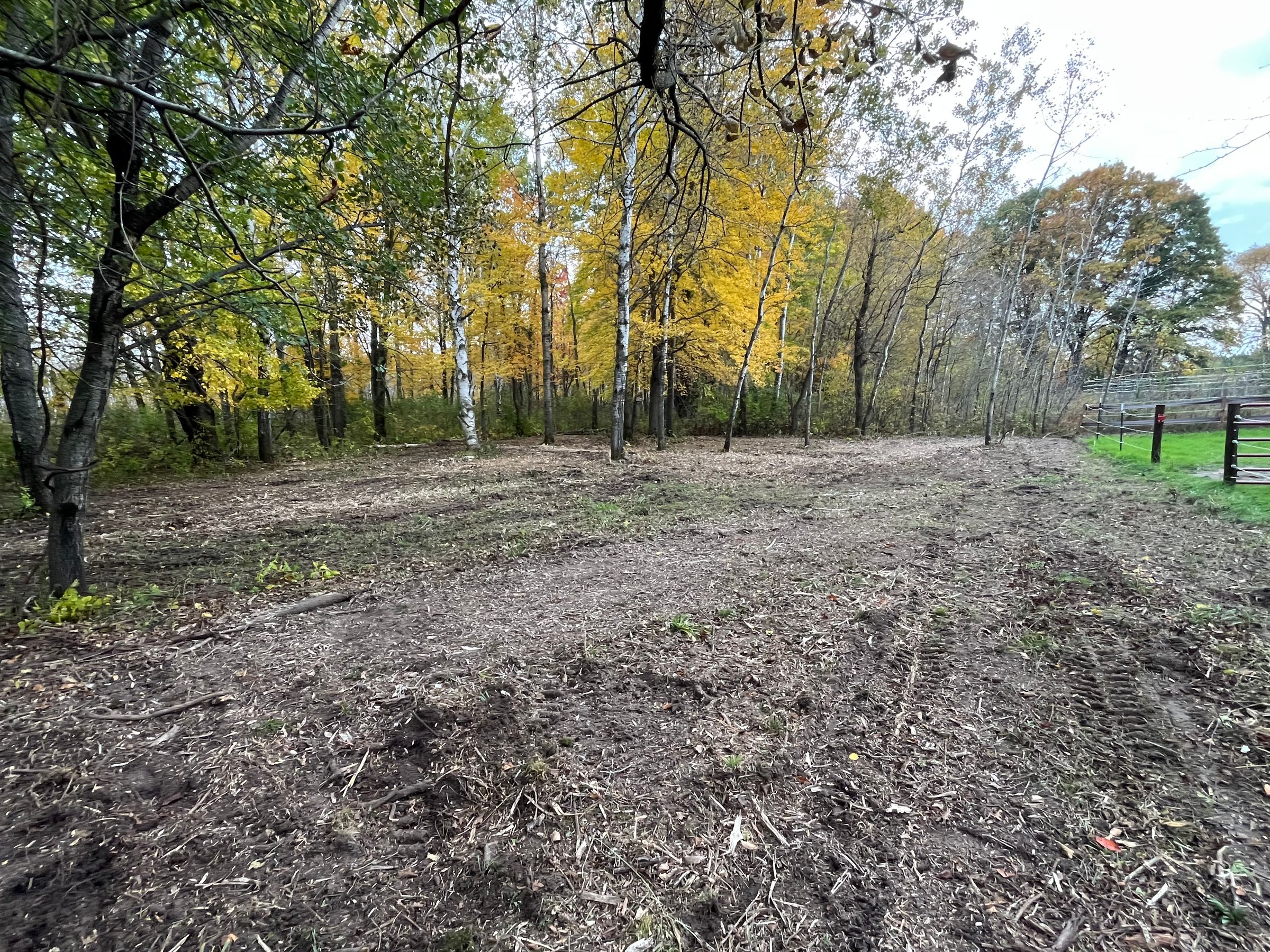 The Brush Stops Here's image