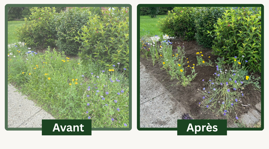 JARDINOLOGIE's image