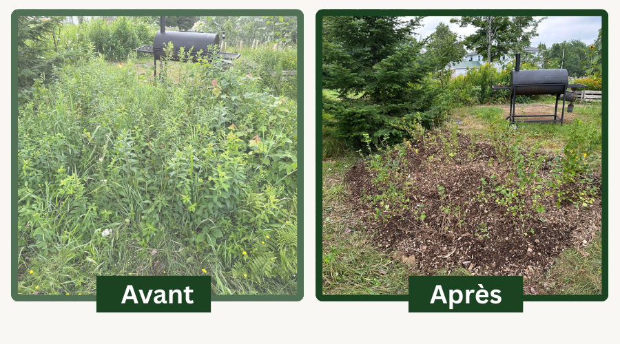 JARDINOLOGIE's image