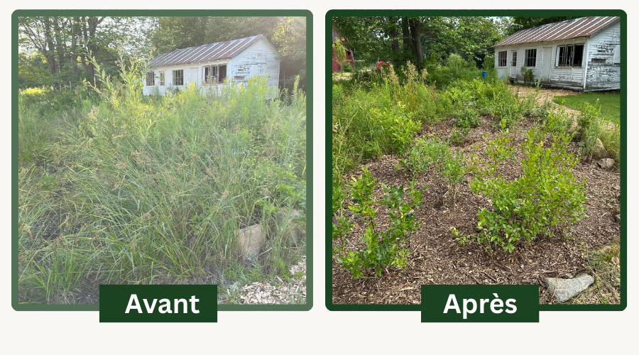 JARDINOLOGIE's image