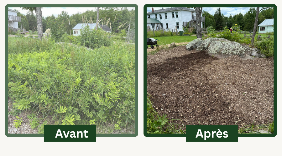 JARDINOLOGIE's image