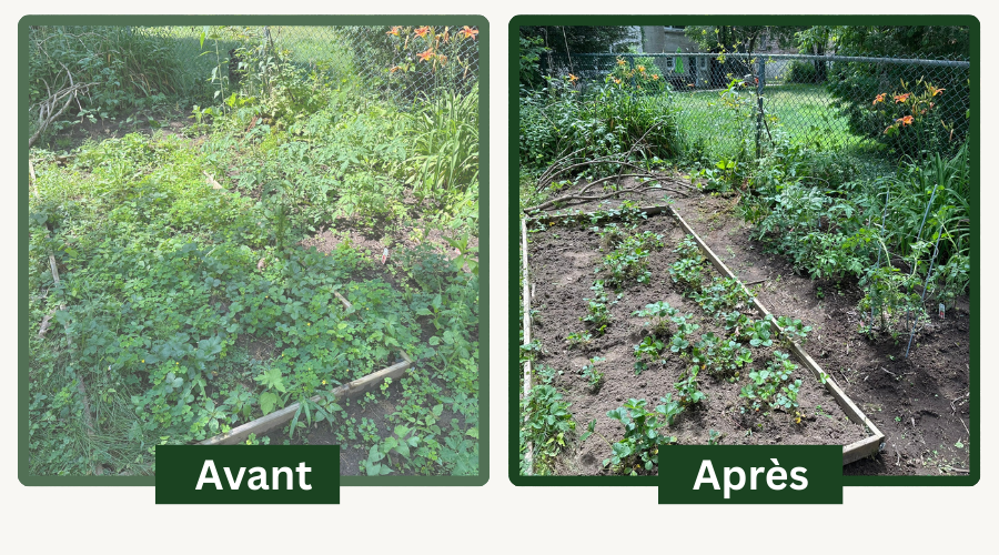 JARDINOLOGIE's image