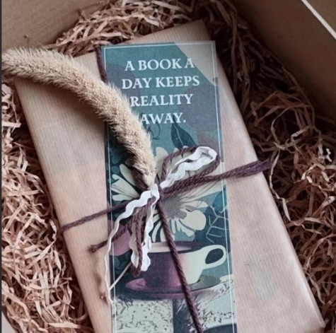 Angela O'Malley's image