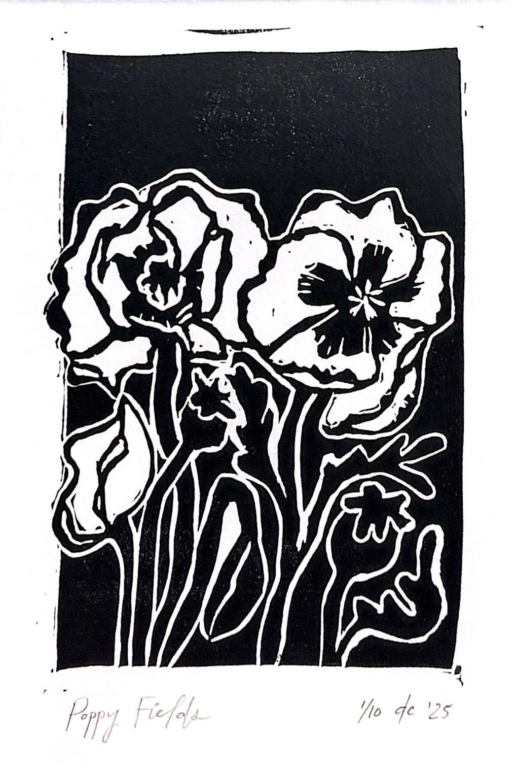 Dulcinea Cherie's image