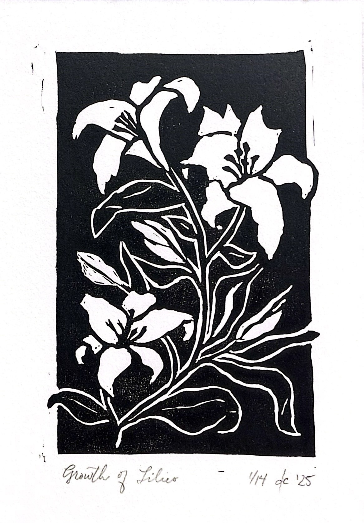 Dulcinea Cherie's image