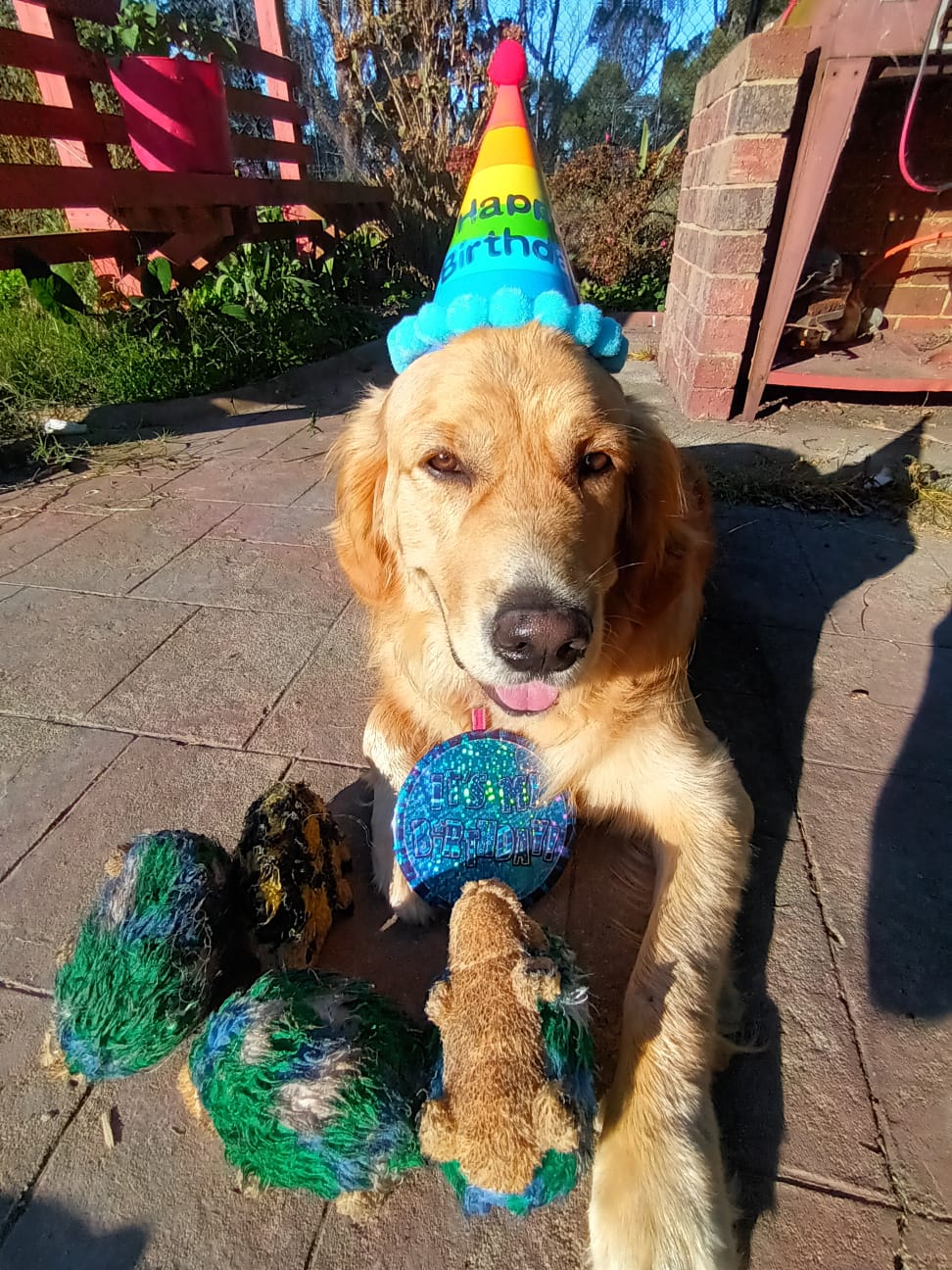 Snuffle Paws Academy's image