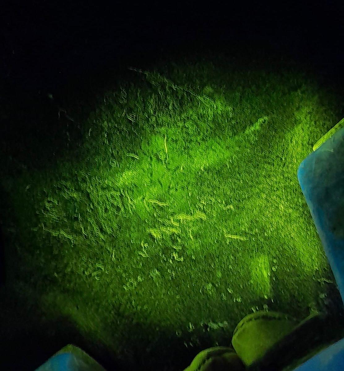 ExOEND's image