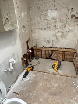 Main Bath Demo progress