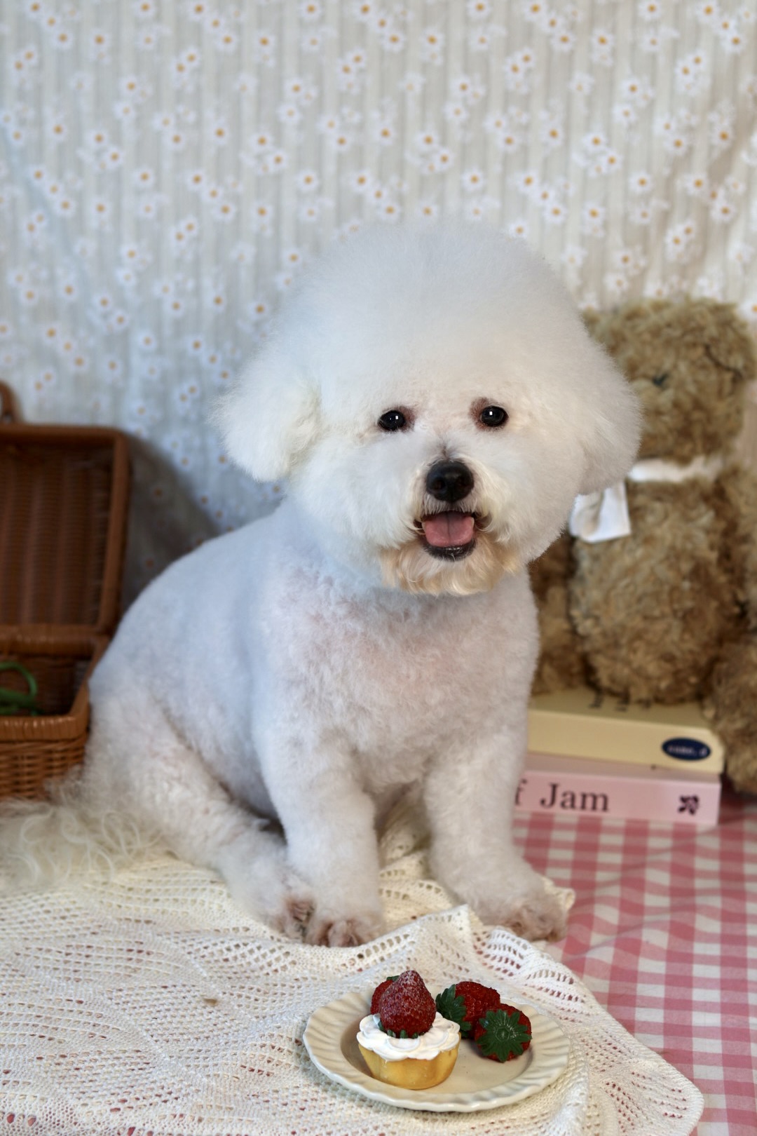 Fufu Asian Grooming's image