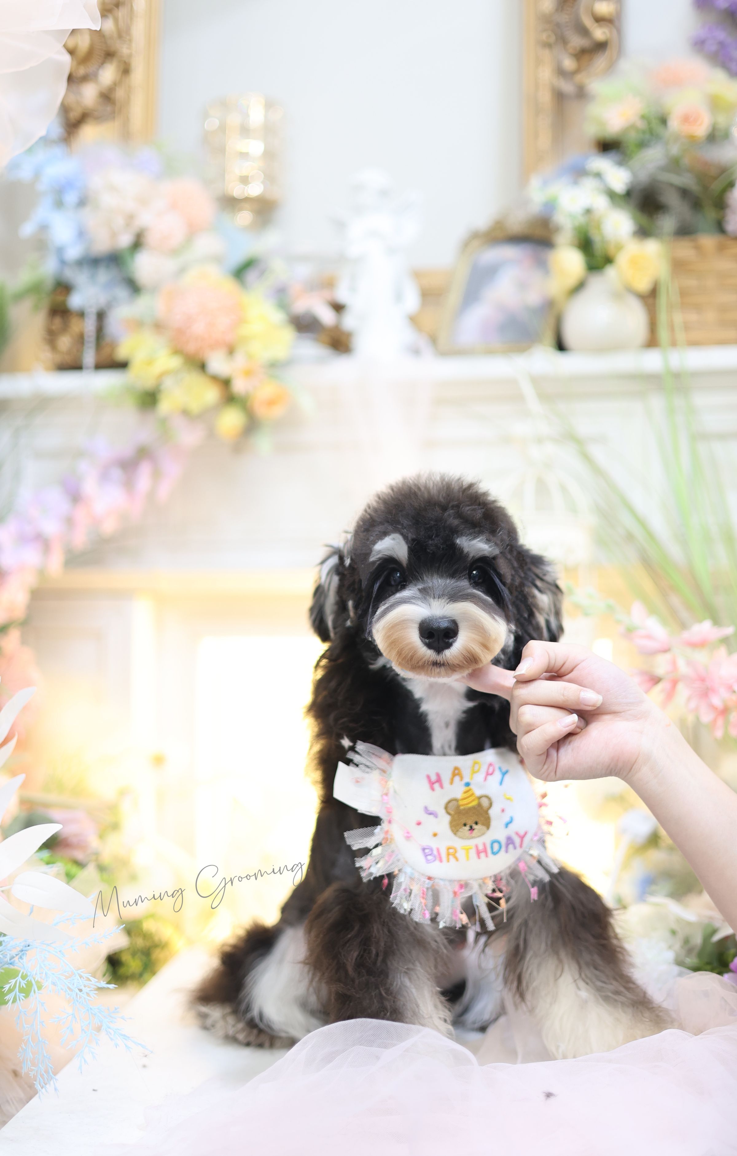 Fufu Asian Grooming's image