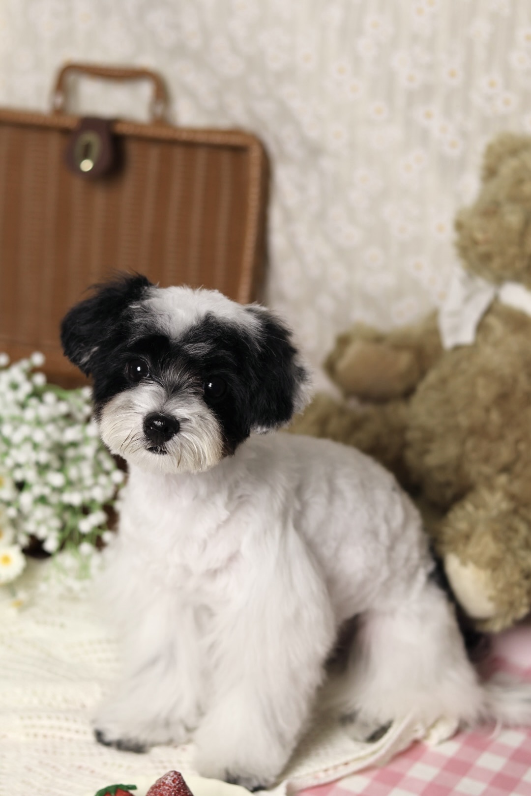 Fufu Asian Grooming's image