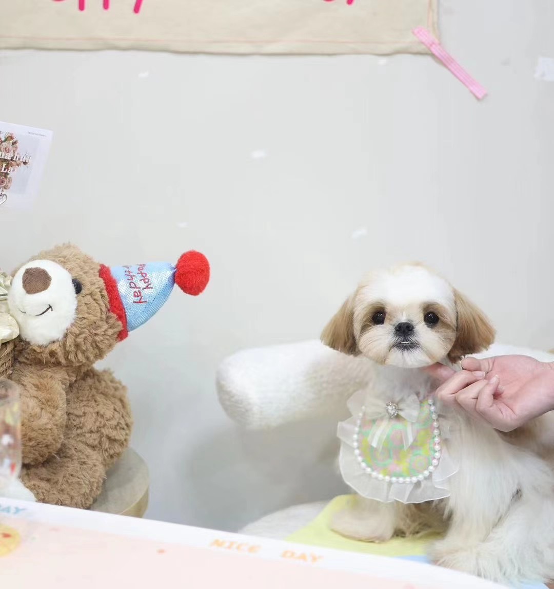 Fufu Asian Grooming's image