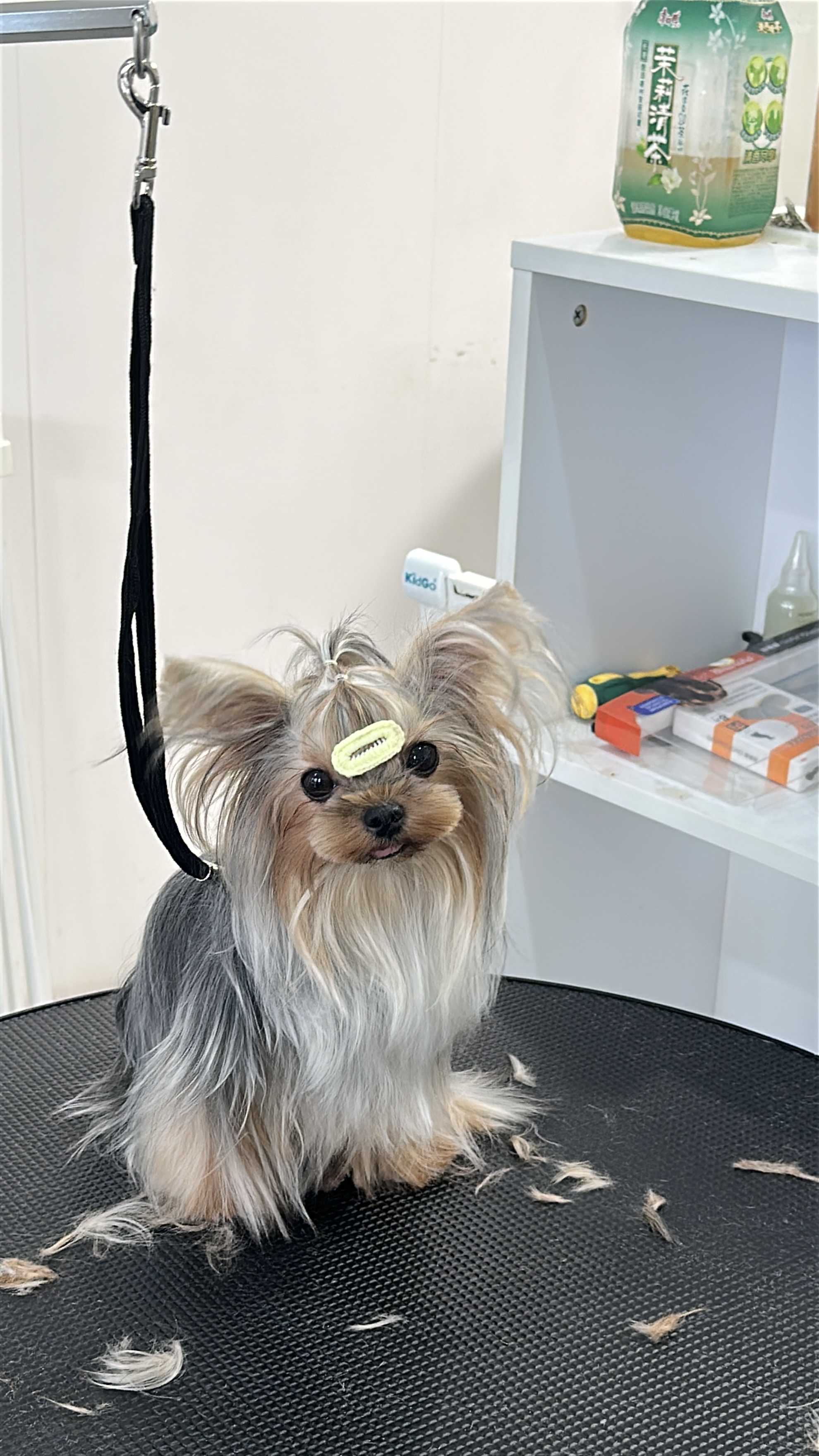 Fufu Asian Grooming's image