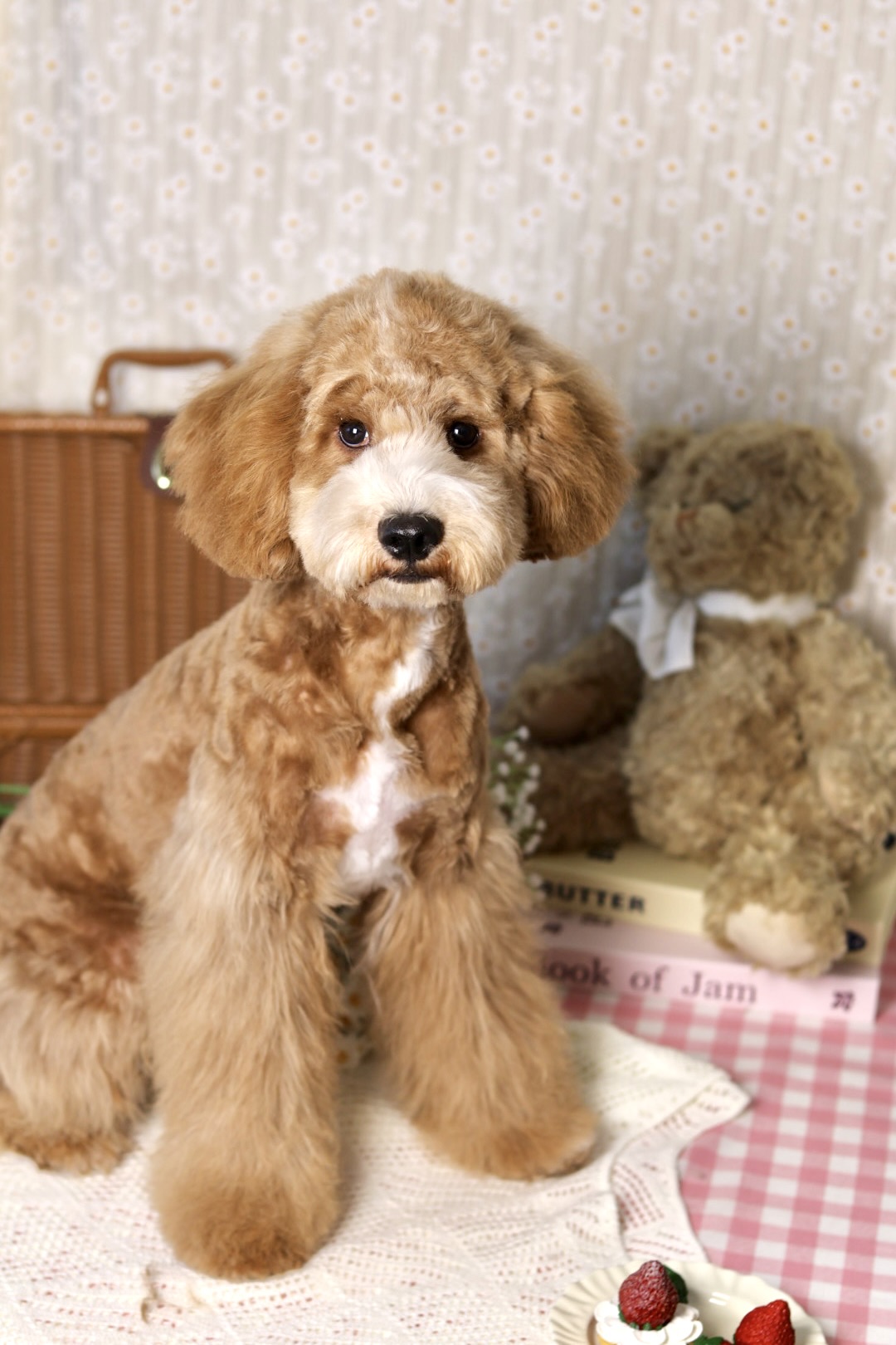 Fufu Asian Grooming's image