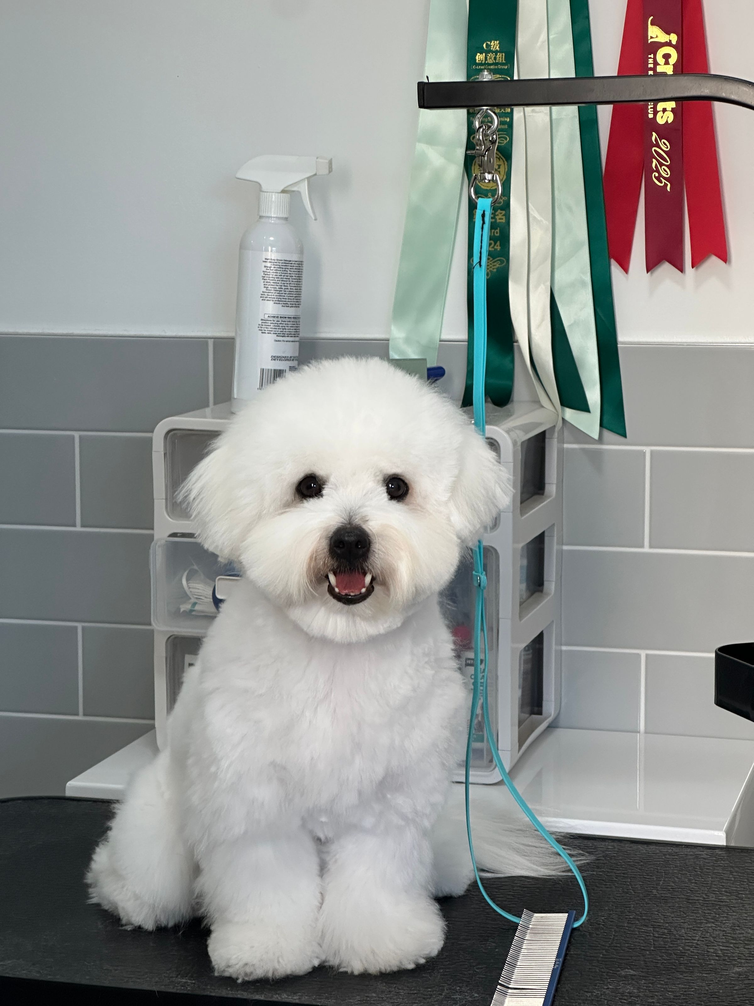 Fufu Asian Grooming's image