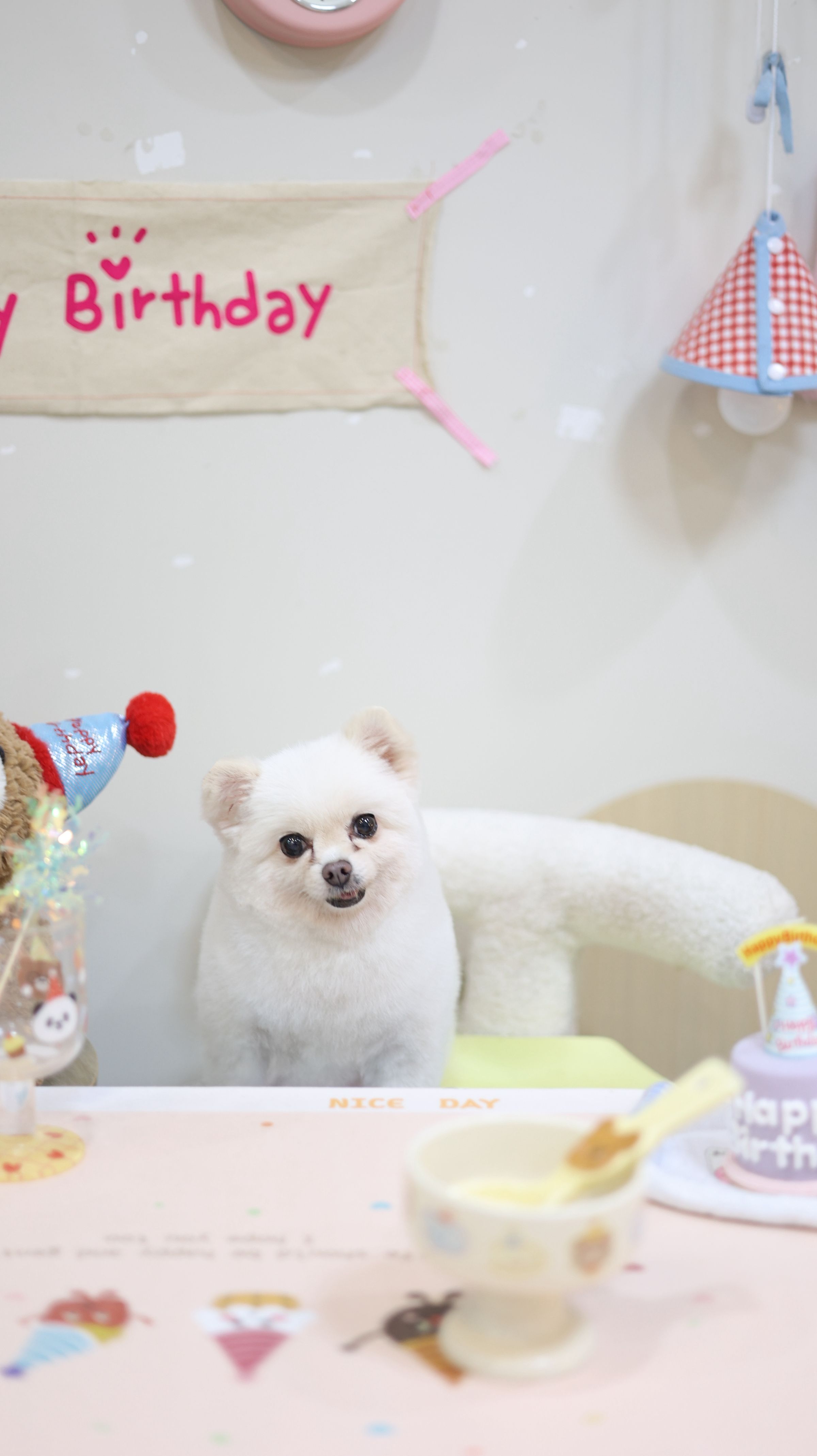 Fufu Asian Grooming's image