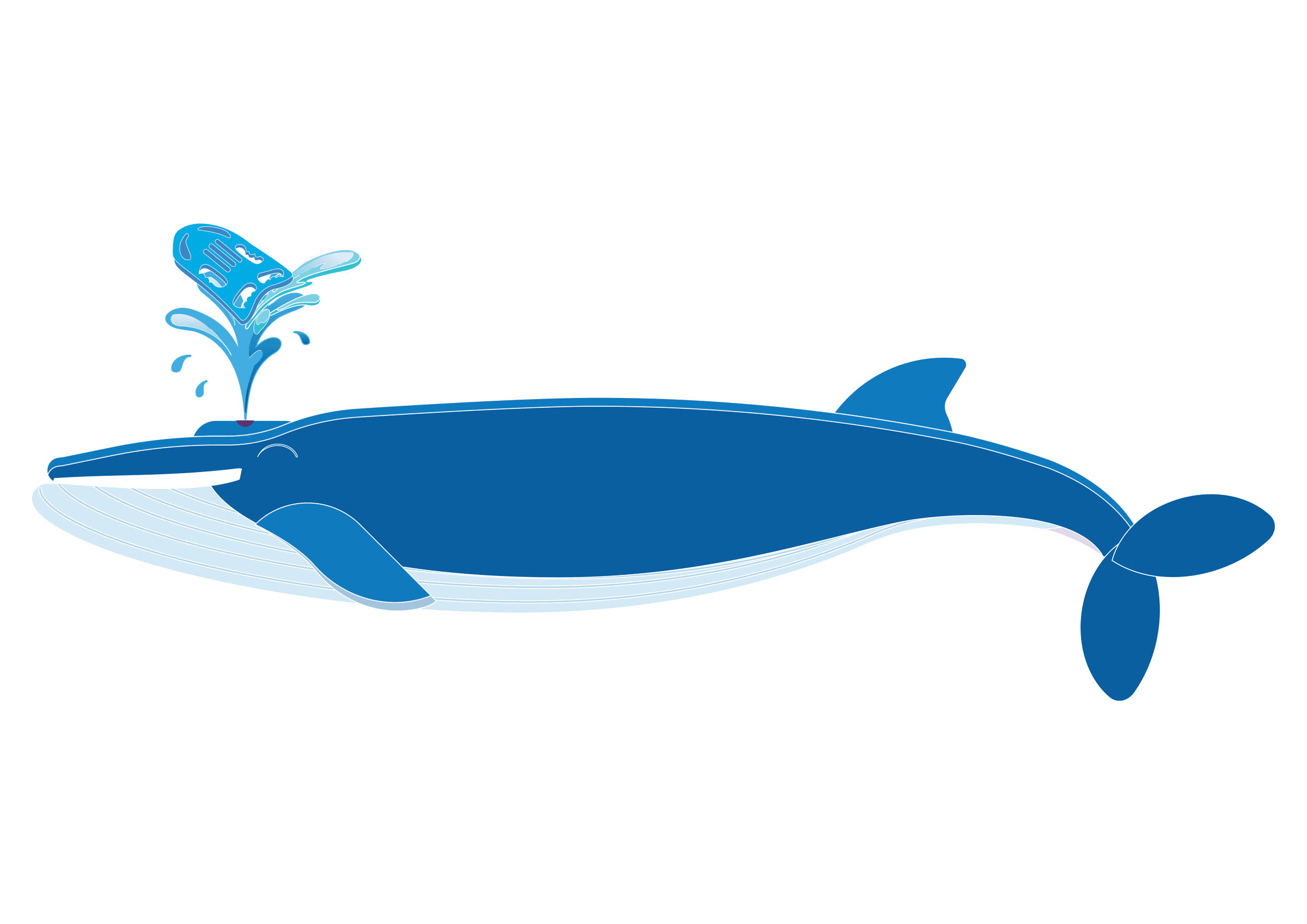 Genesis Swim School's image