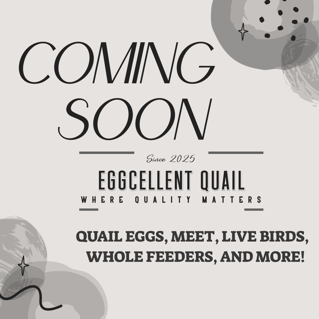 Eggcellent Quail's image