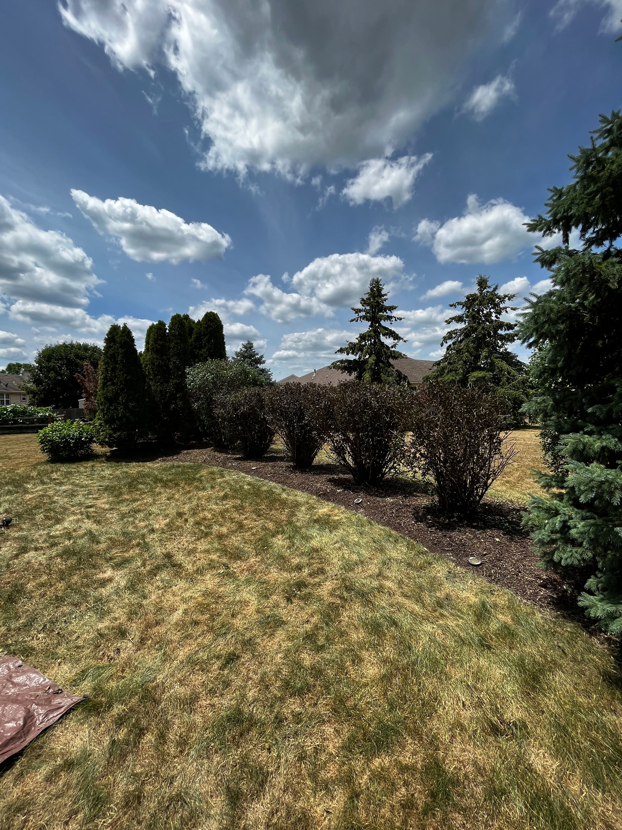 Luther Property Care LLC's image