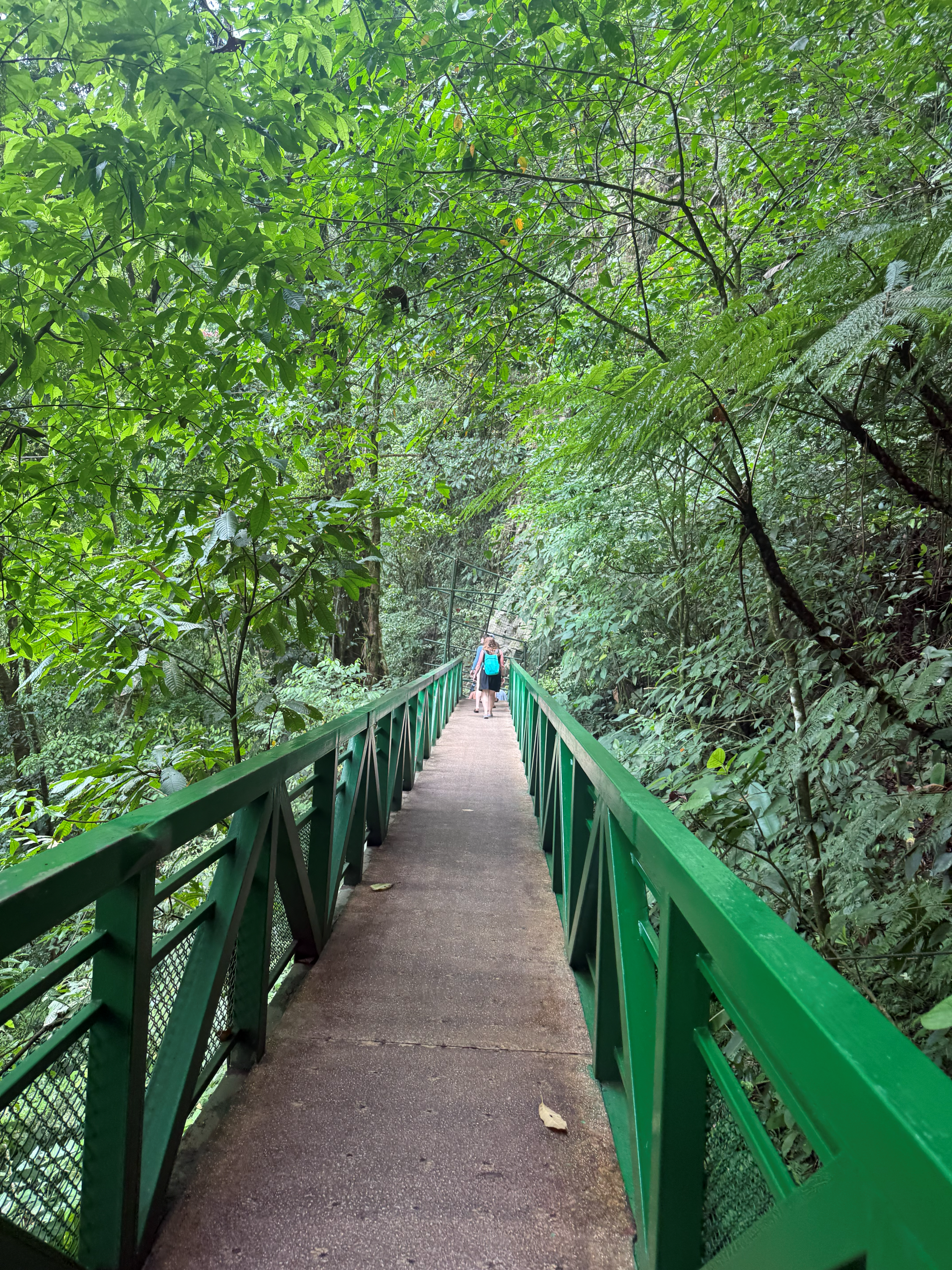 Mistico Hanging Bridges Canopy Walk