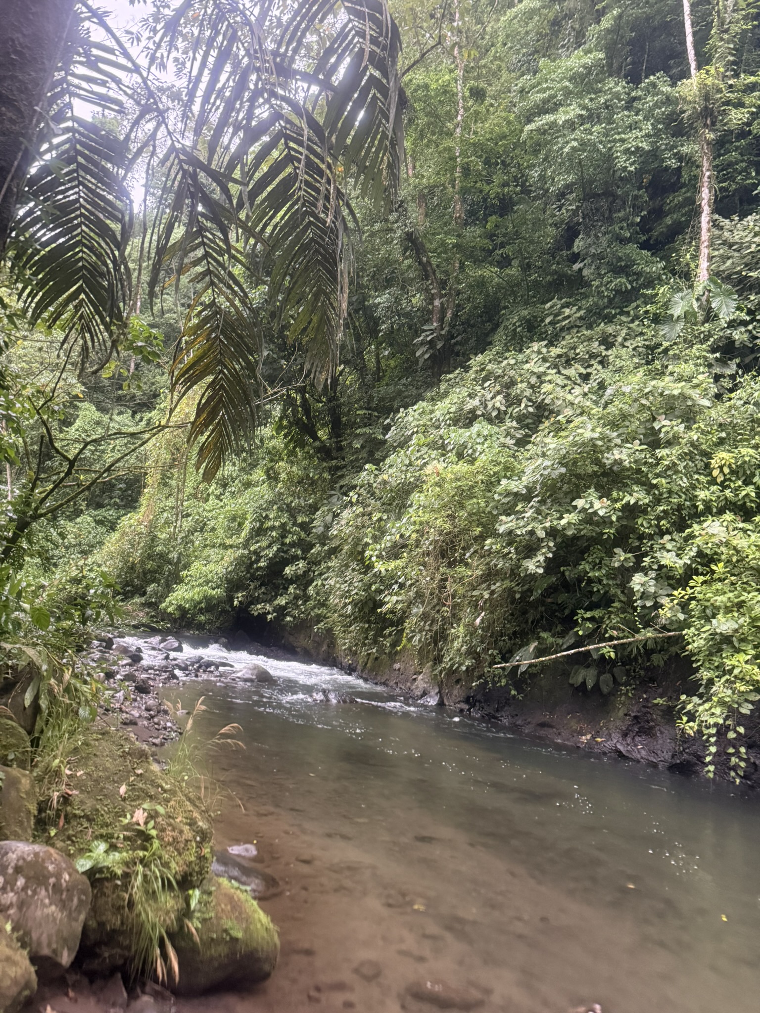 Arenal River Rapids