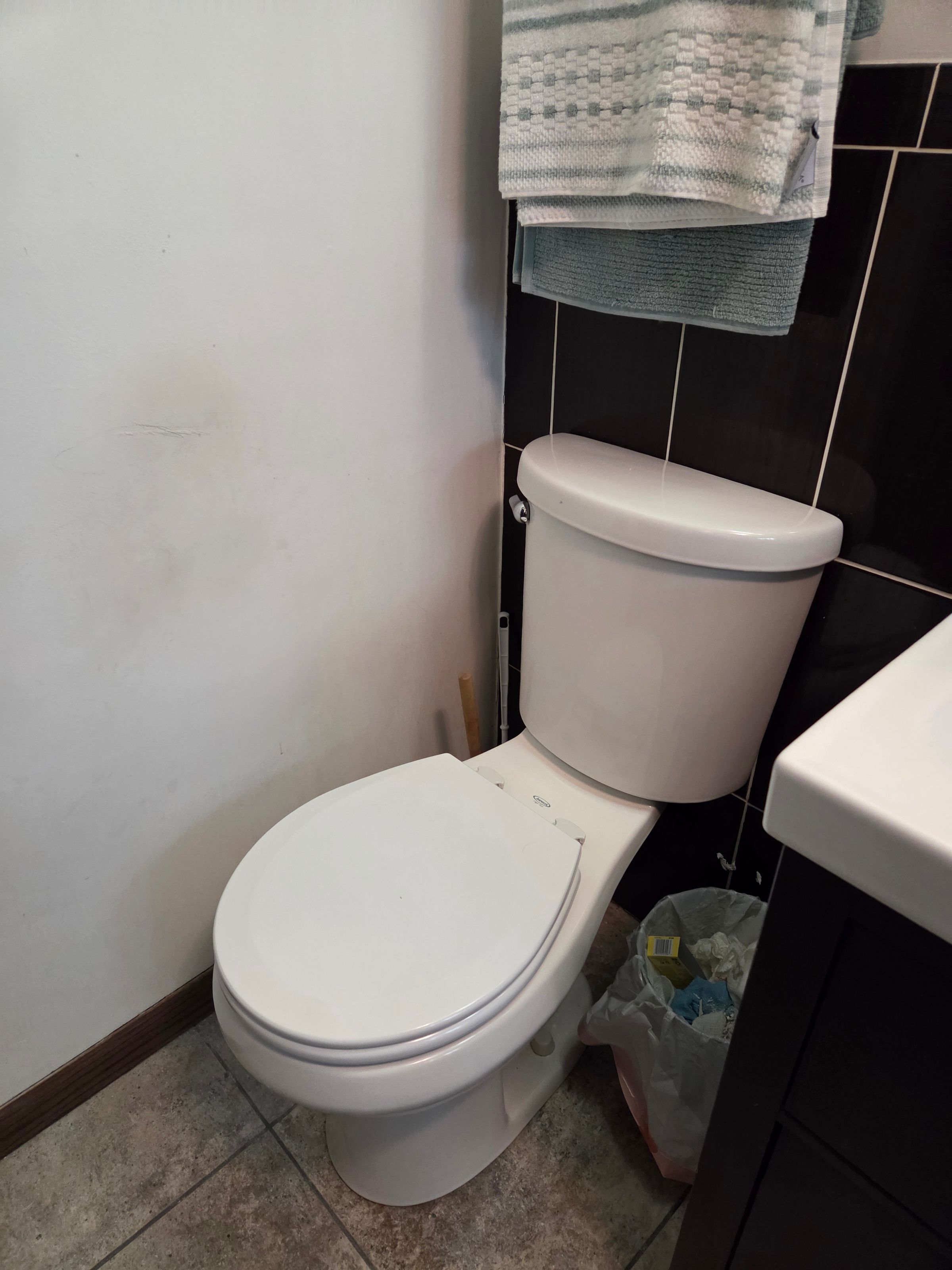 Toilet seat replacement