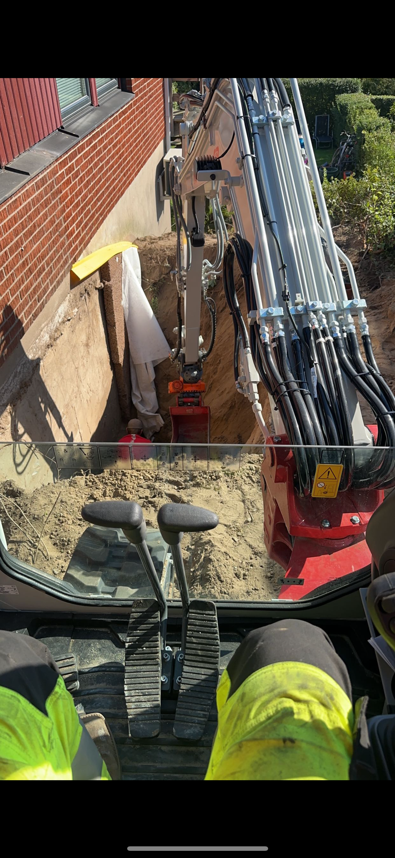 Nordic tree and land 's image