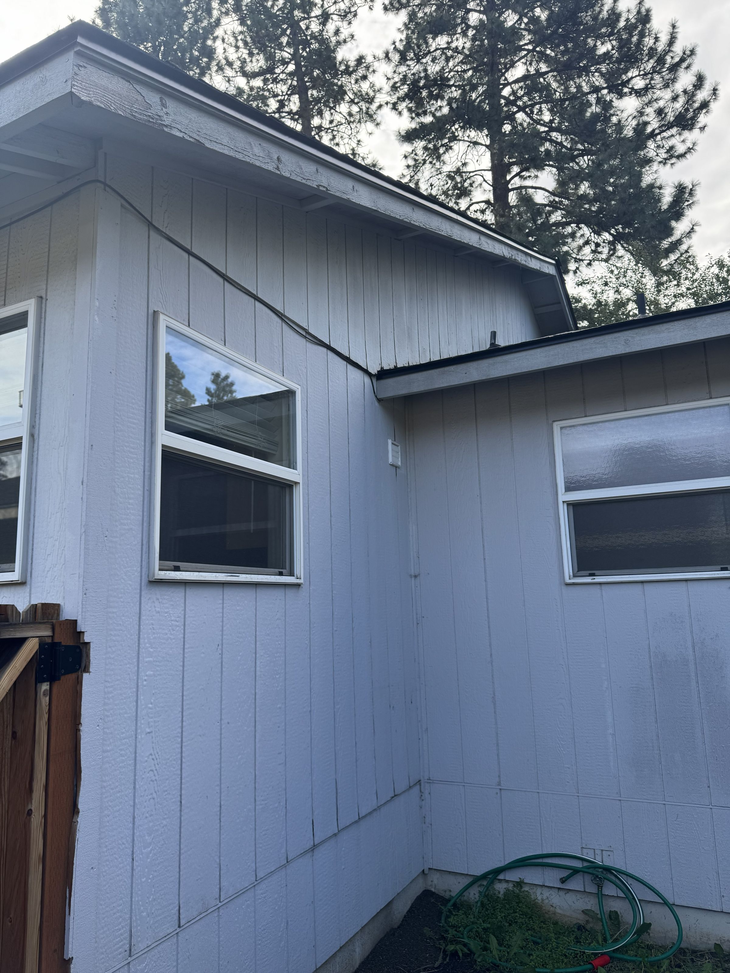 DRIPLESS PAINTING's image